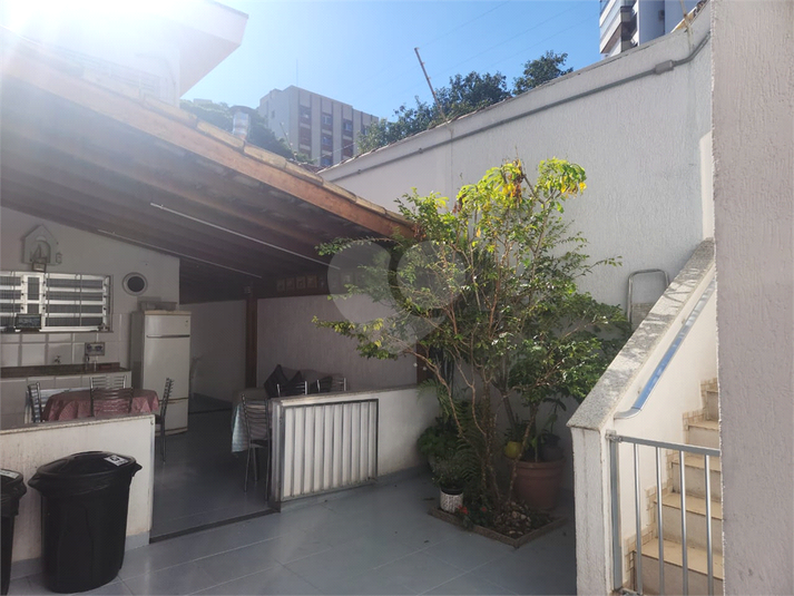 Foto REO1104349