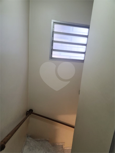 Foto REO1104349