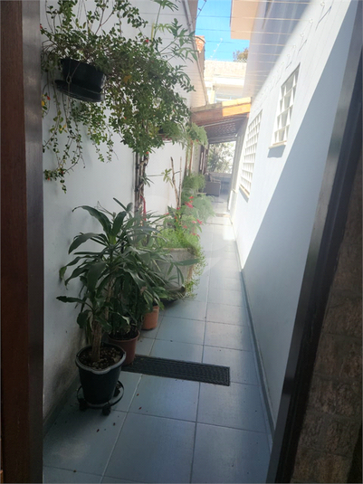 Foto REO1104349