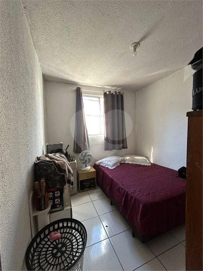 Foto REO1104363
