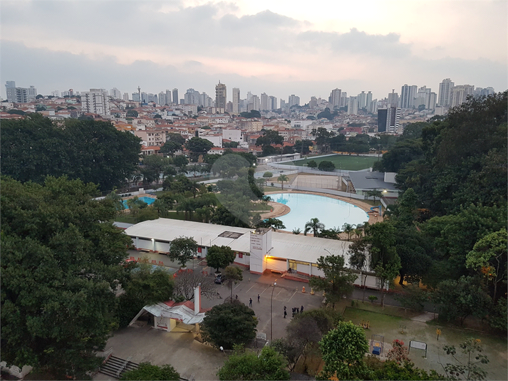 Foto REO1104365