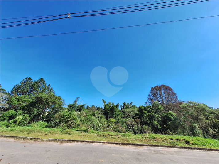 Foto REO1104371