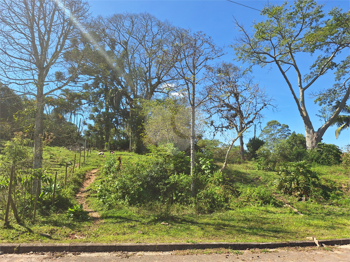 Foto REO1104380