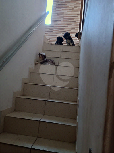 Foto REO1104381