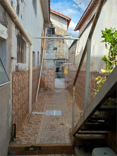 Foto REO1104381