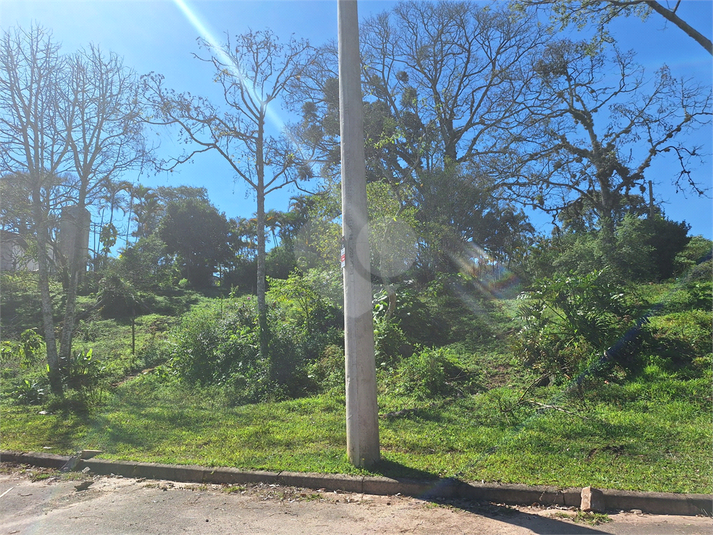 Foto REO1104382