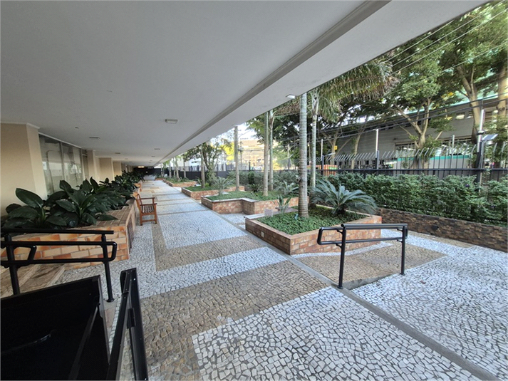 Foto REO1104385