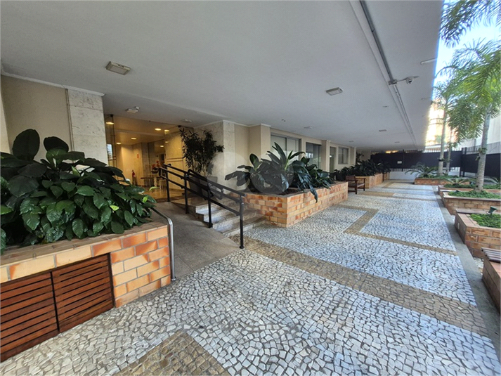 Foto REO1104385