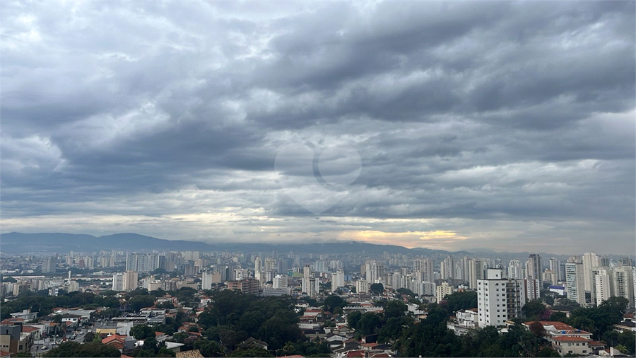 Foto REO1104405