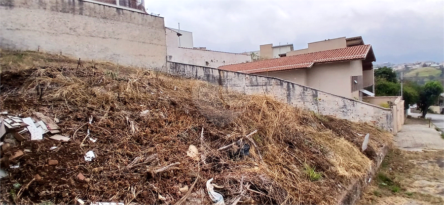 Foto REO1104409