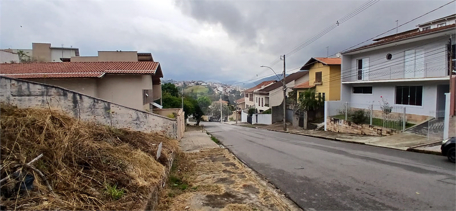 Foto REO1104409