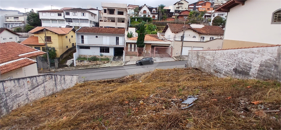 Foto REO1104409