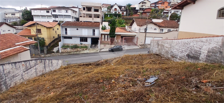 Foto REO1104409