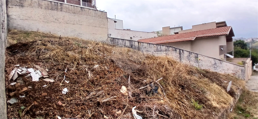 Foto REO1104409