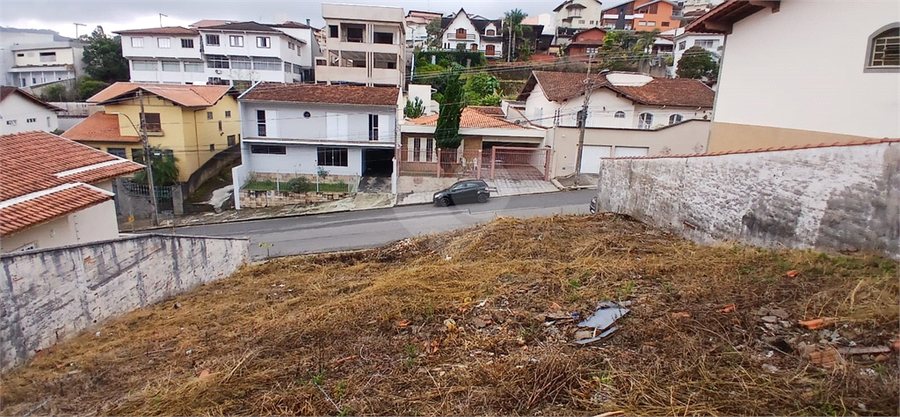 Foto REO1104409
