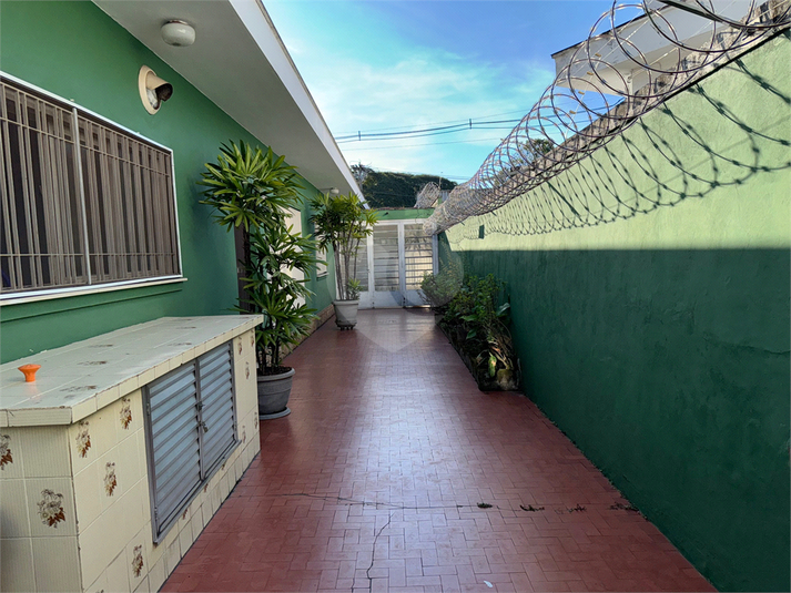 Foto REO1104413