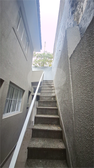 Foto REO1104428