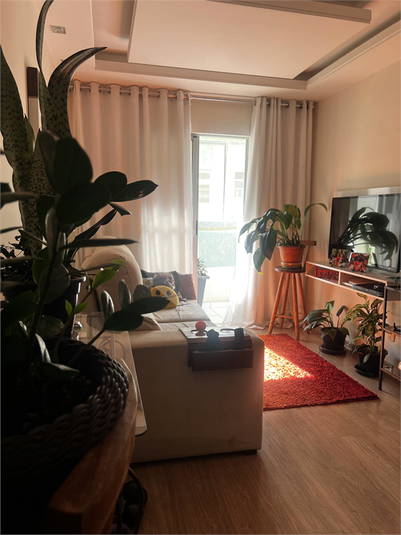 Foto REO1104437