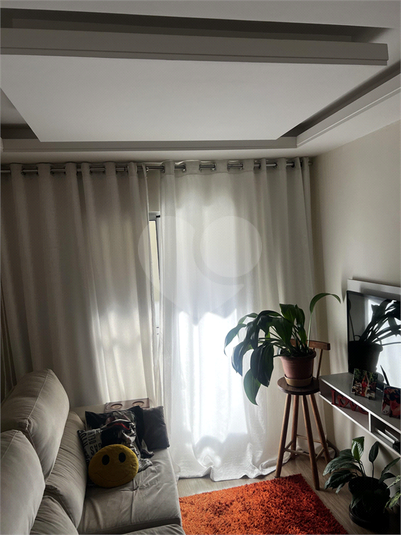 Foto REO1104437