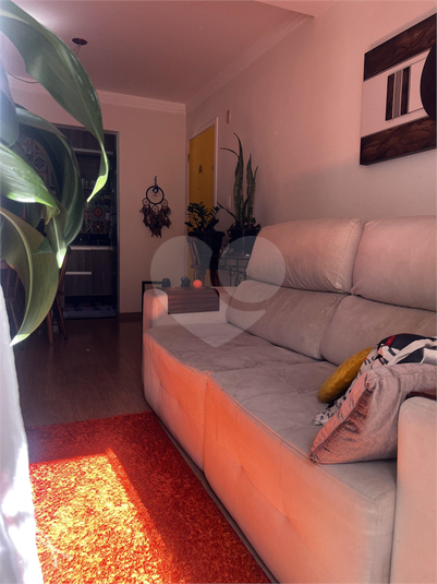 Foto REO1104437