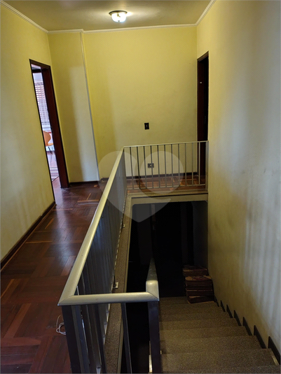 Foto REO1104439