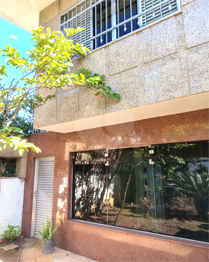 Foto REO1104439