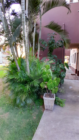 Foto REO1104441
