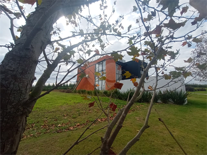 Foto REO1104442