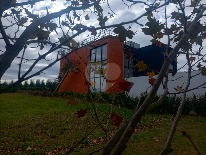 Foto REO1104442