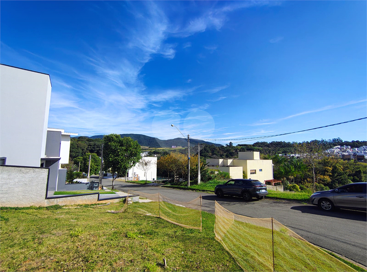 Foto REO1104457