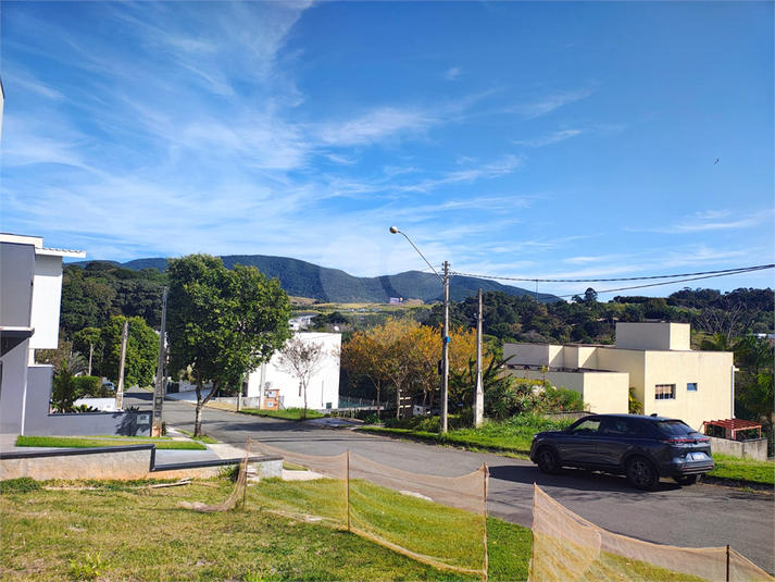 Foto REO1104457