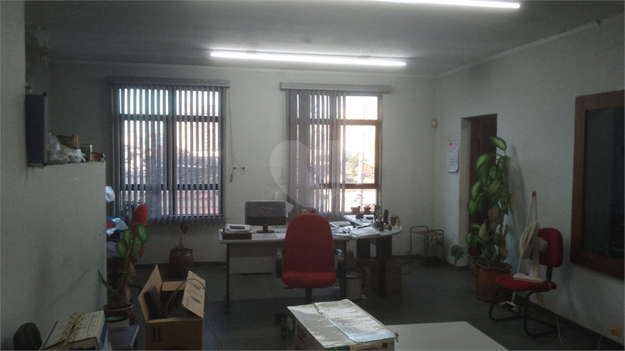 Foto REO1104463
