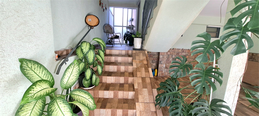 Foto REO1104478