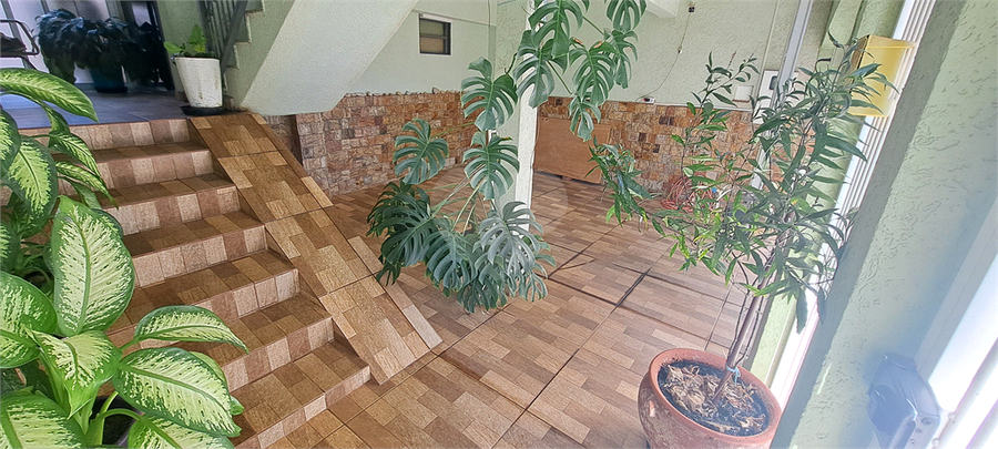 Foto REO1104478