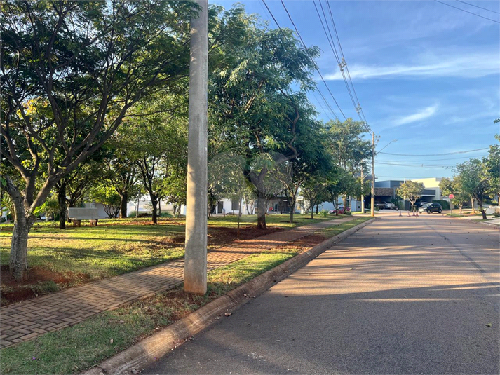 Foto REO1104480