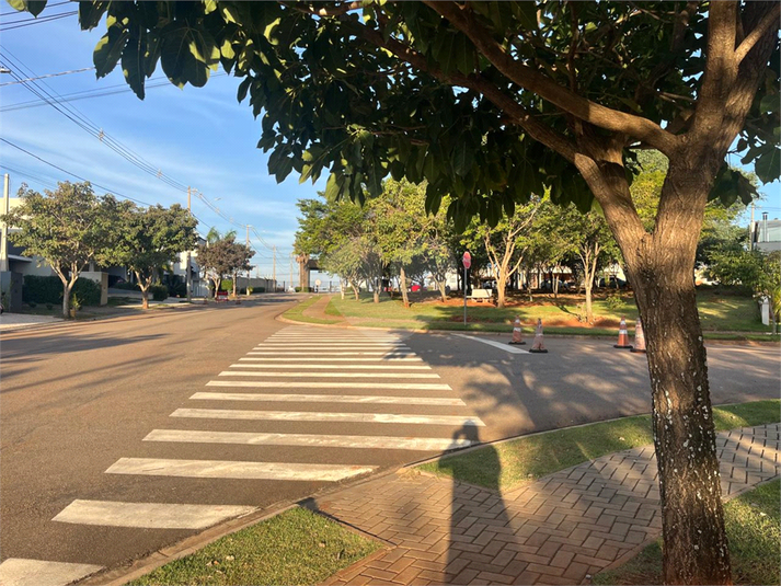 Foto REO1104480
