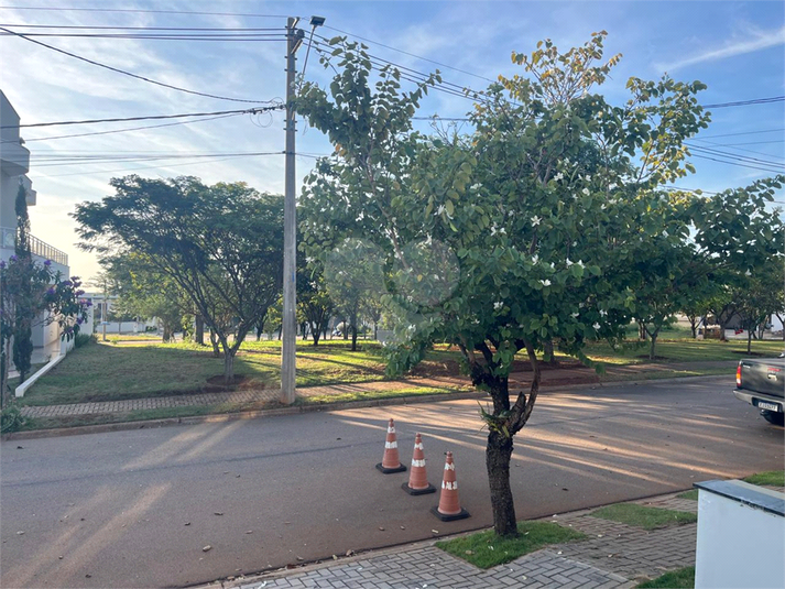 Foto REO1104480