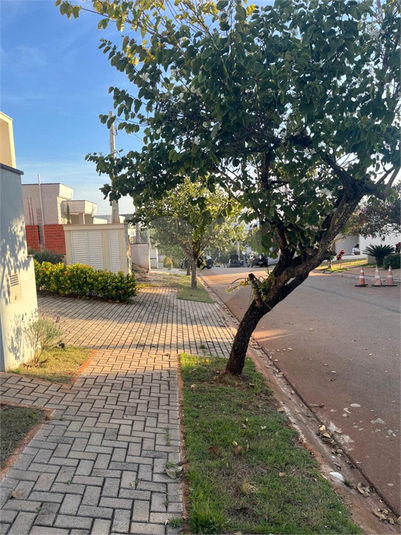 Foto REO1104482