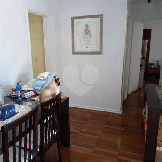 Foto REO1104485
