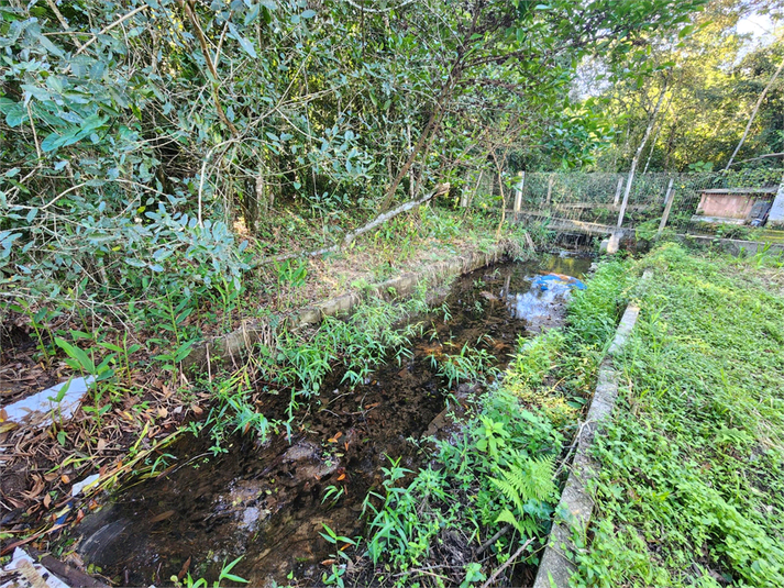 Foto REO1104491