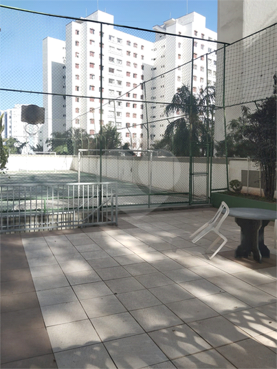 Foto REO1104494
