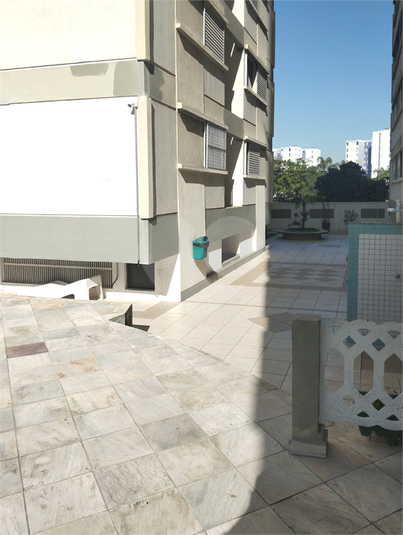 Foto REO1104494