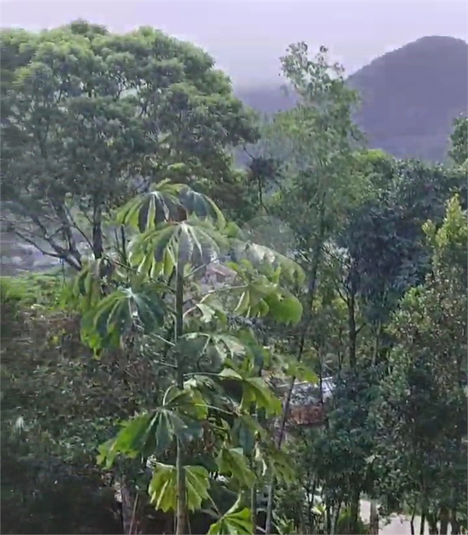 Foto REO1104497