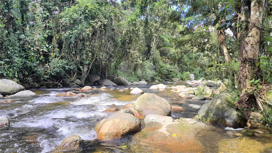 Foto REO1104508