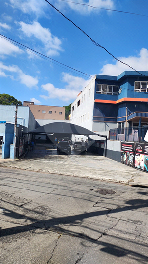 Foto REO1104509