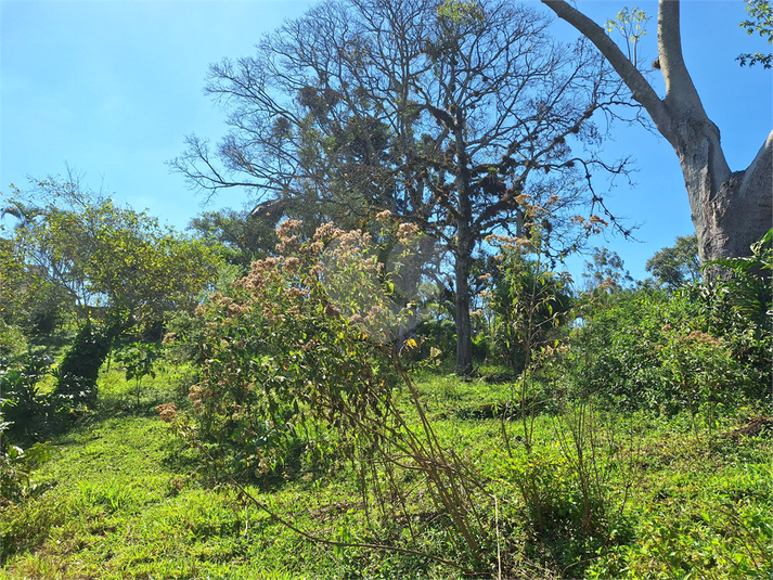 Foto REO1104516
