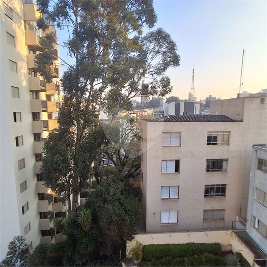 Foto REO1104525