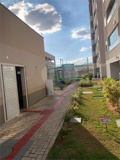 Foto REO1104532