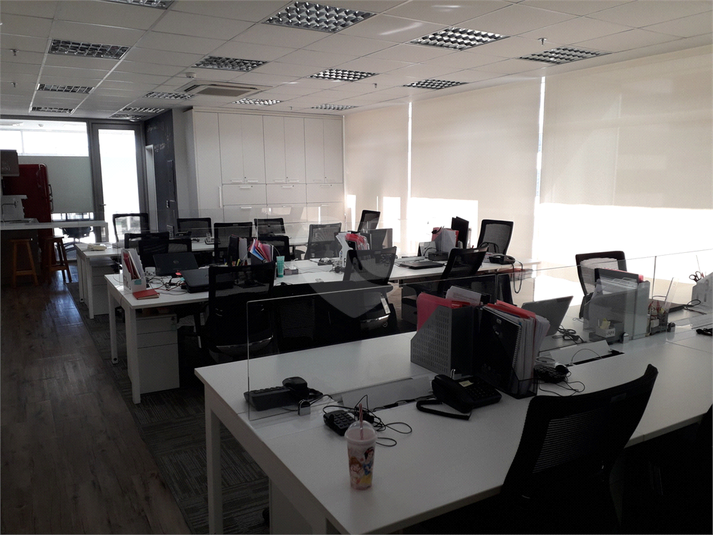 Foto REO1104555