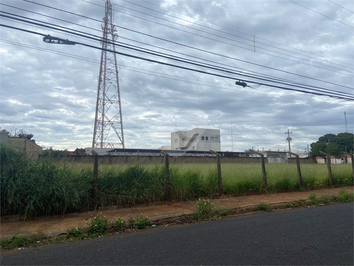 Foto REO1104557